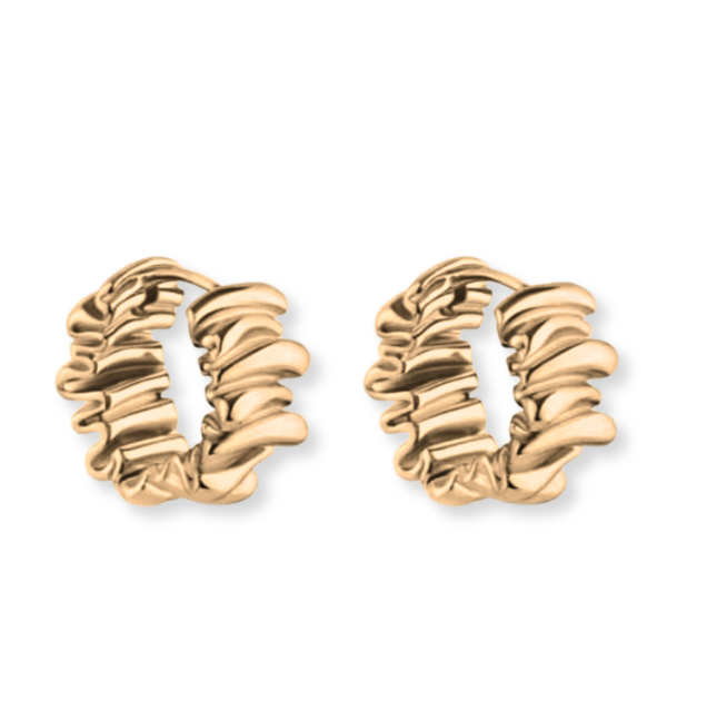 Aurelia Hoop Earrings